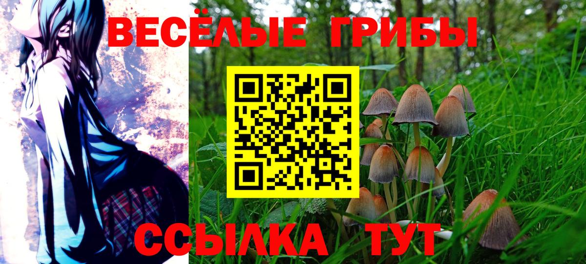 Псилоцибиновые грибы GOLDEN TEACHER  Псилоцибиновые грибы мухоморы  Вход с VPN  магазин  наркотиков  Добрянка 