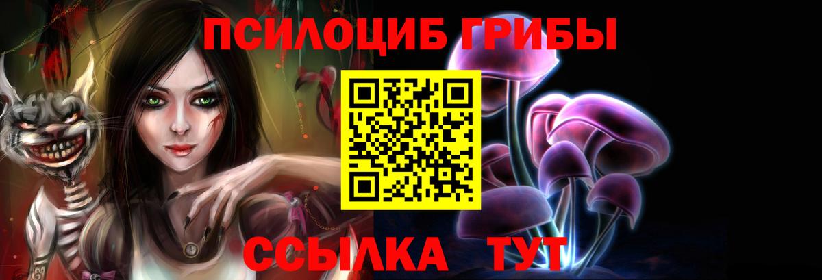 Галлюциногенные грибы GOLDEN TEACHER Добрянка
